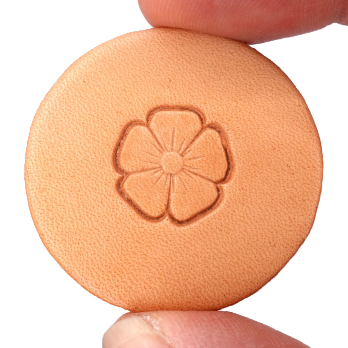 011-681800.SLC.jpg Stamping Tool - W818 Image