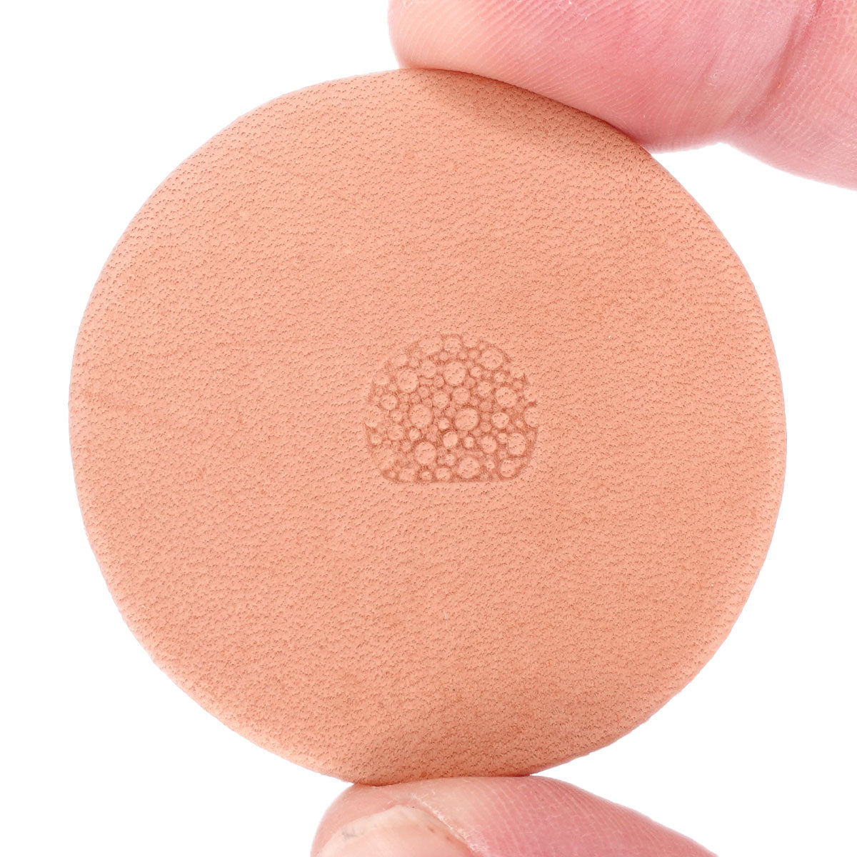 115-7700005.SLC.jpg Stamping Tool - PA005 Image