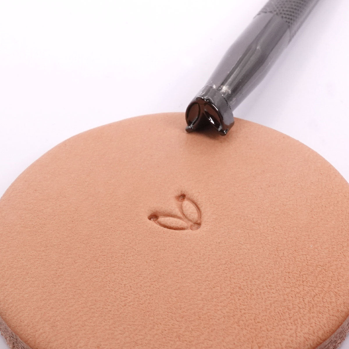 Stamping Tool - R451(B), additional view