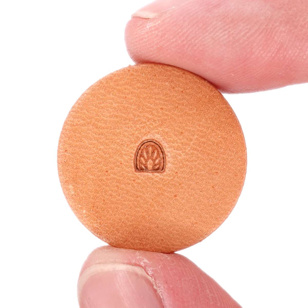 115-D461.SLC.03.jpg D461 Extra Small Arched Border Image