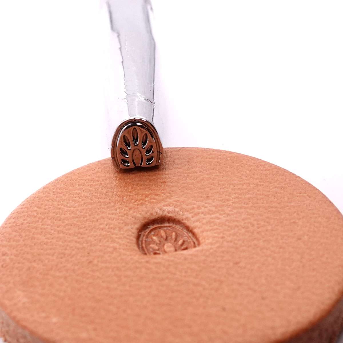 115-D461.SLC.02.jpg D461 Extra Small Arched Border Image