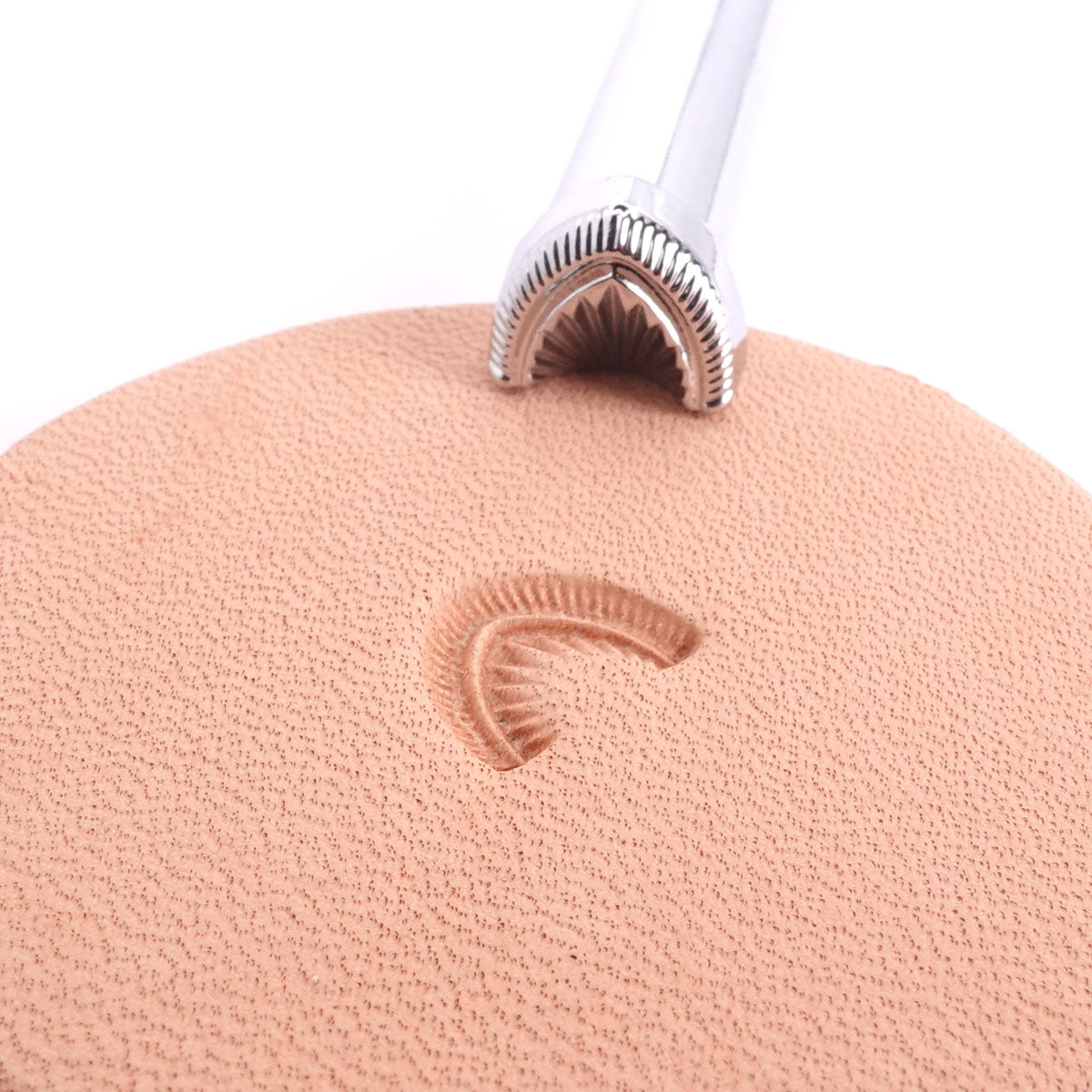 115-G876.SLC.01.jpg G876 Crescent Shell Geometric Image