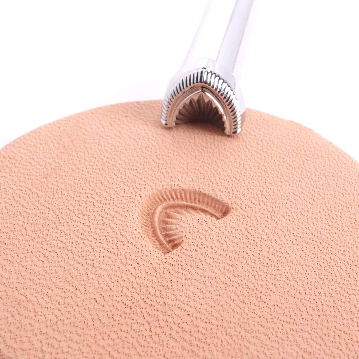 115-G876.SLC.01.jpg G876 Crescent Shell Geometric Image