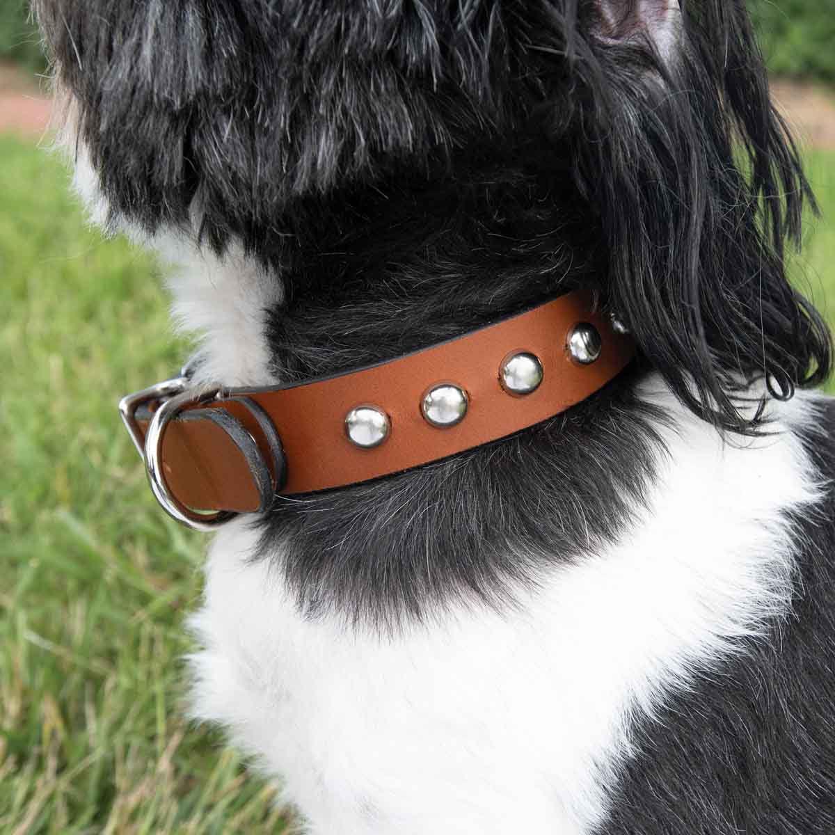 Leather Dog Collar Kit