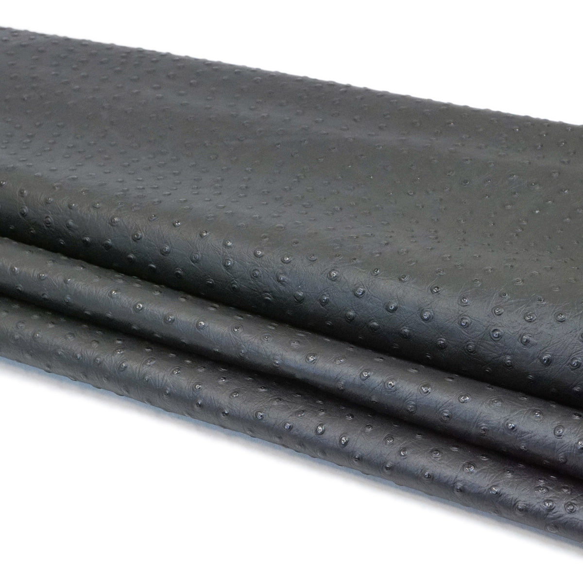 62-40.SLC.4.jpg Ostrich Print on Cow Sides - Black Image