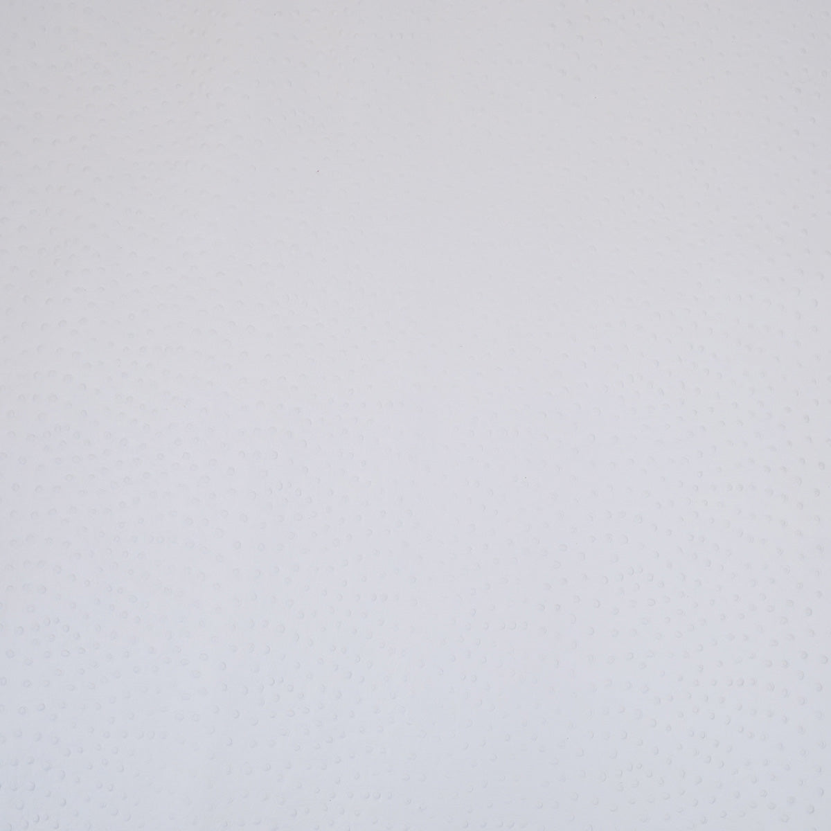 62-41.SLC.01.jpg Ostrich Print on Cow Sides - White Image