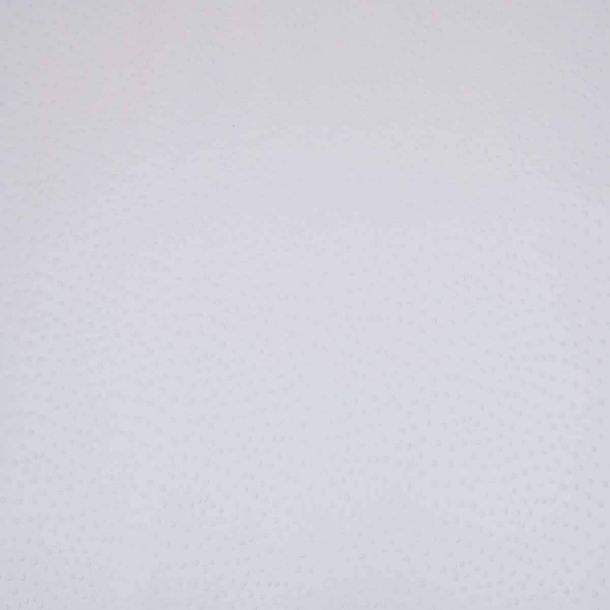 62-41.SLC.01.jpg Ostrich Print on Cow Sides - White Image