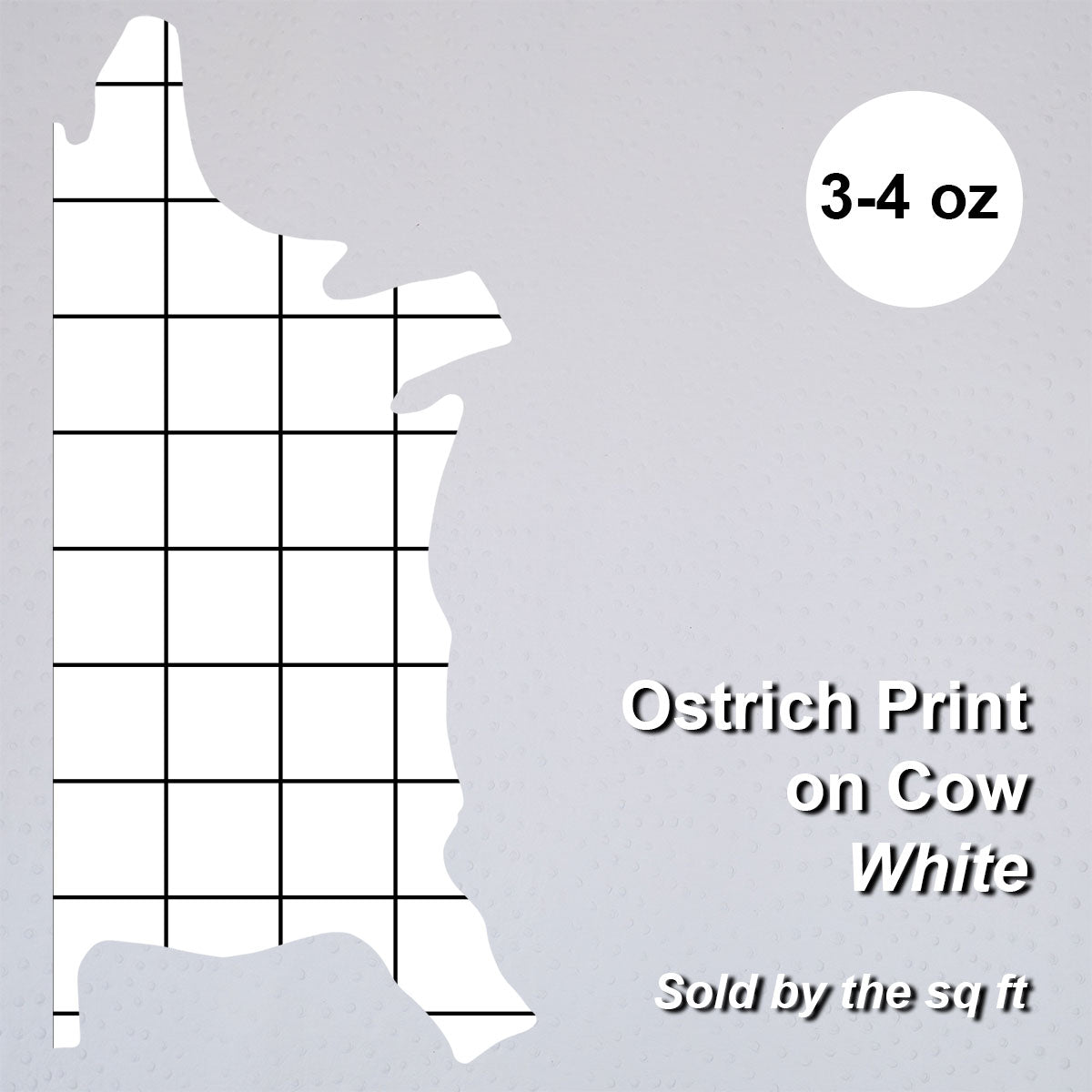 62-41.SLC.4.jpg Ostrich Print on Cow Sides - White Image