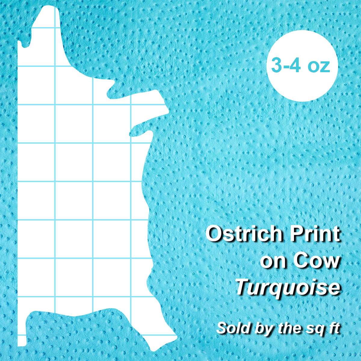 62-46.SLC.03.jpg Ostrich Print on Cow Sides - Turquoise Image