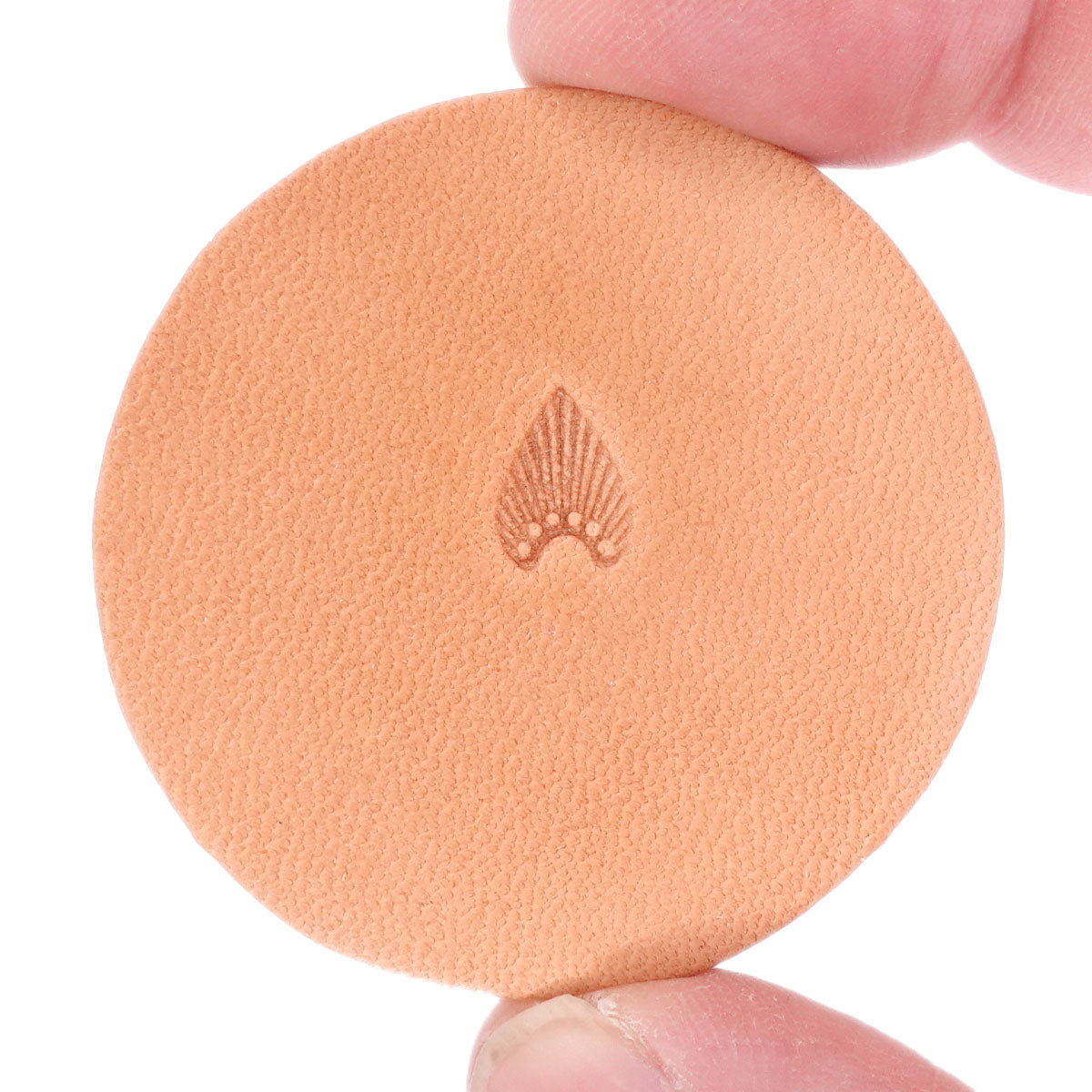 Stamping Tool - N301 Sunburst