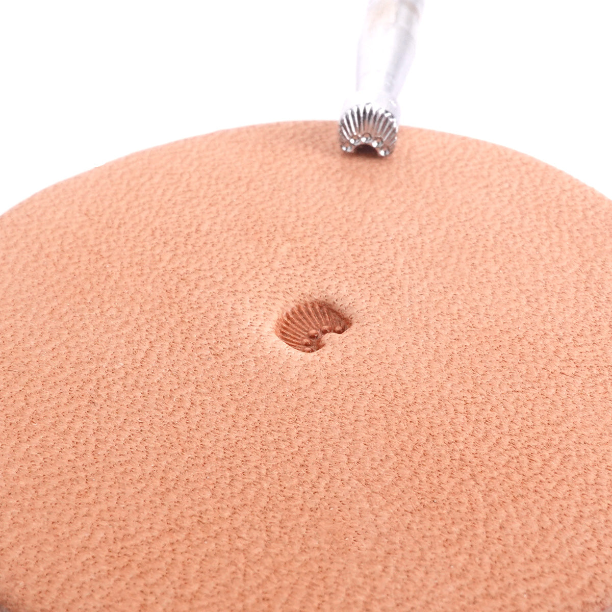 Stamping Tool - N303 Sunburst, additional view