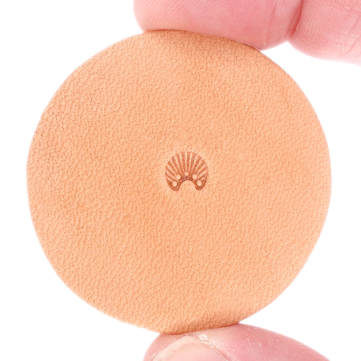 Stamping Tool - N305 Sunburst