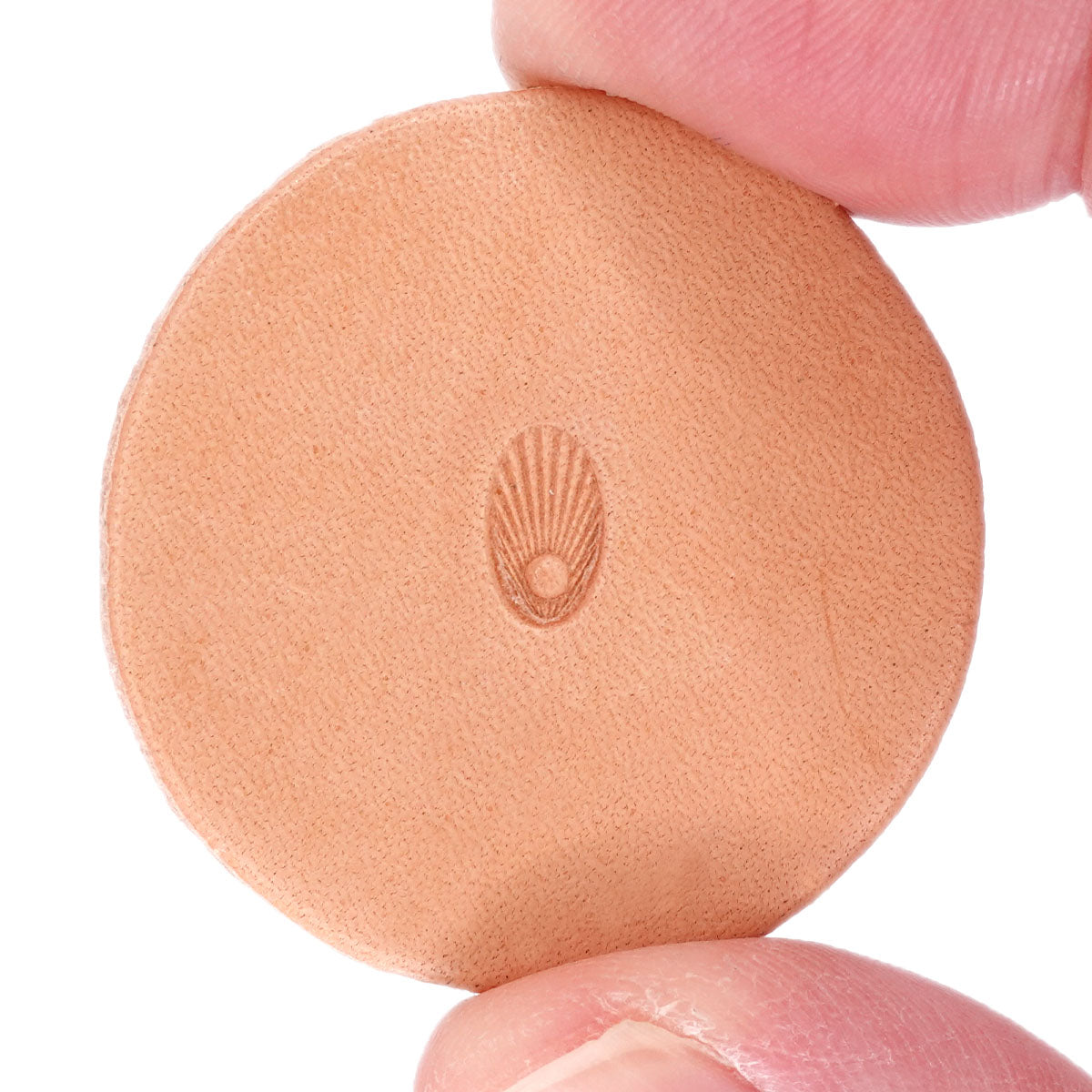 Stamping Tool - N363 Sunburst