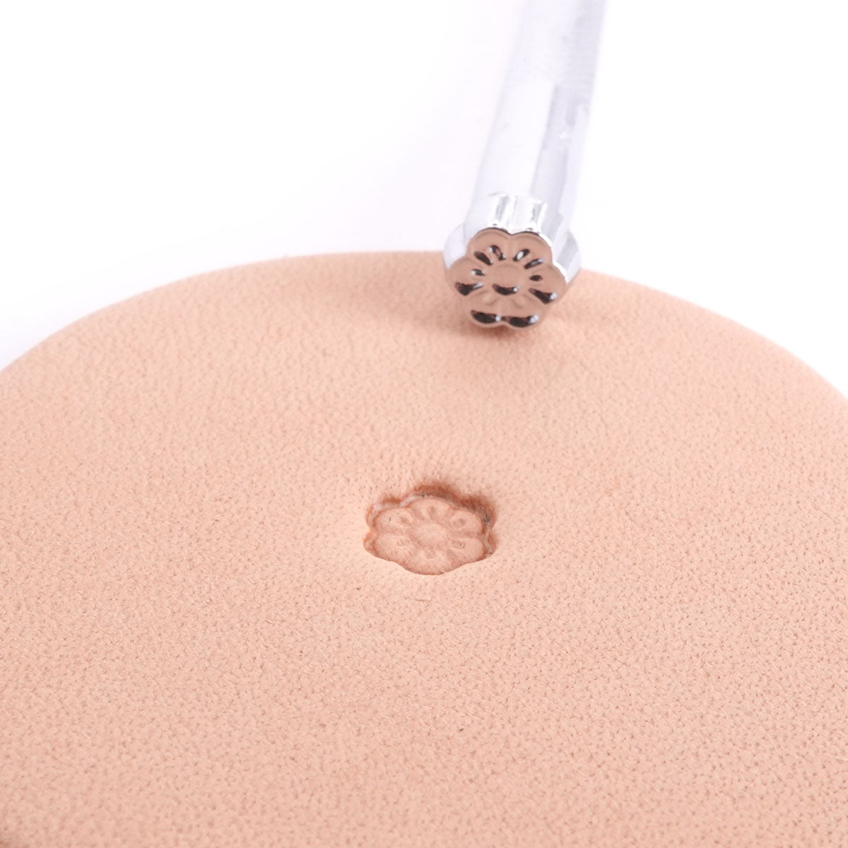 Stamping Tool - D617 Border, additional view