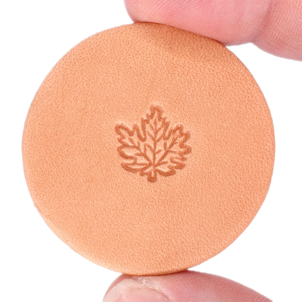 Stamping Tool - L792 Leaf