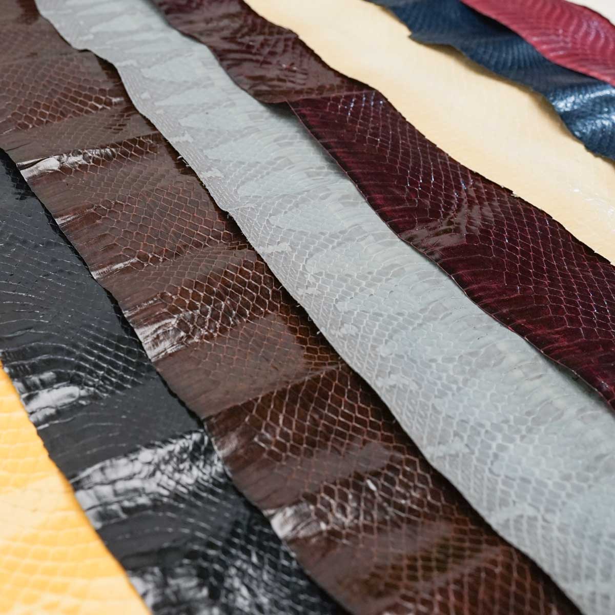 Whipsnake 5 Pack