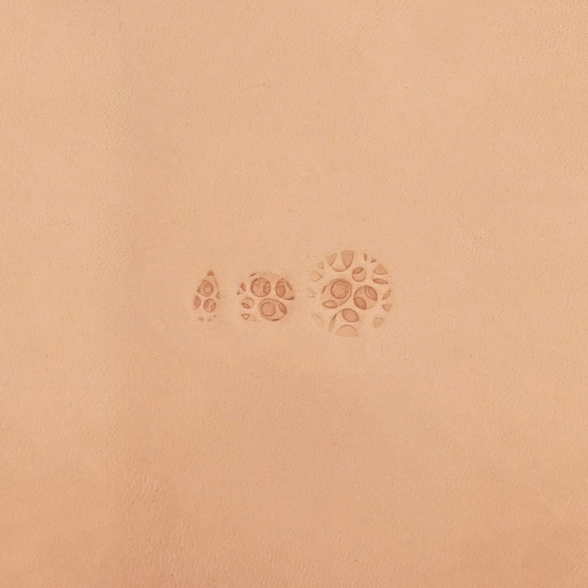 SN Stamping Tool Kit - 591Kit 3D Matting Kit