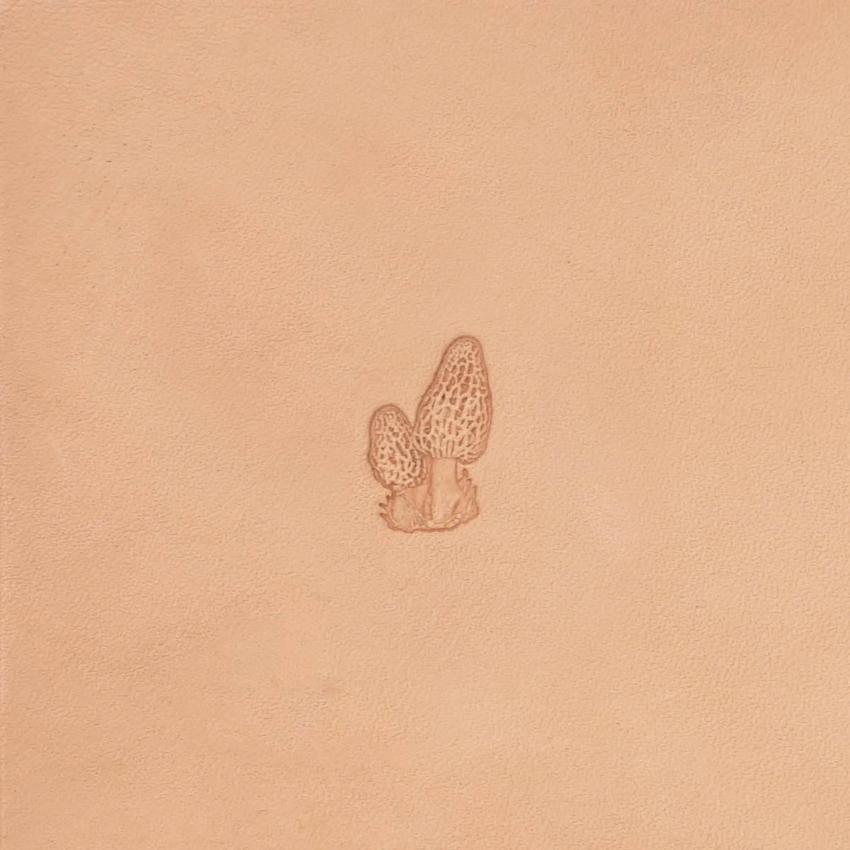 SN Stamping Tool - 597 Morel Mushroom