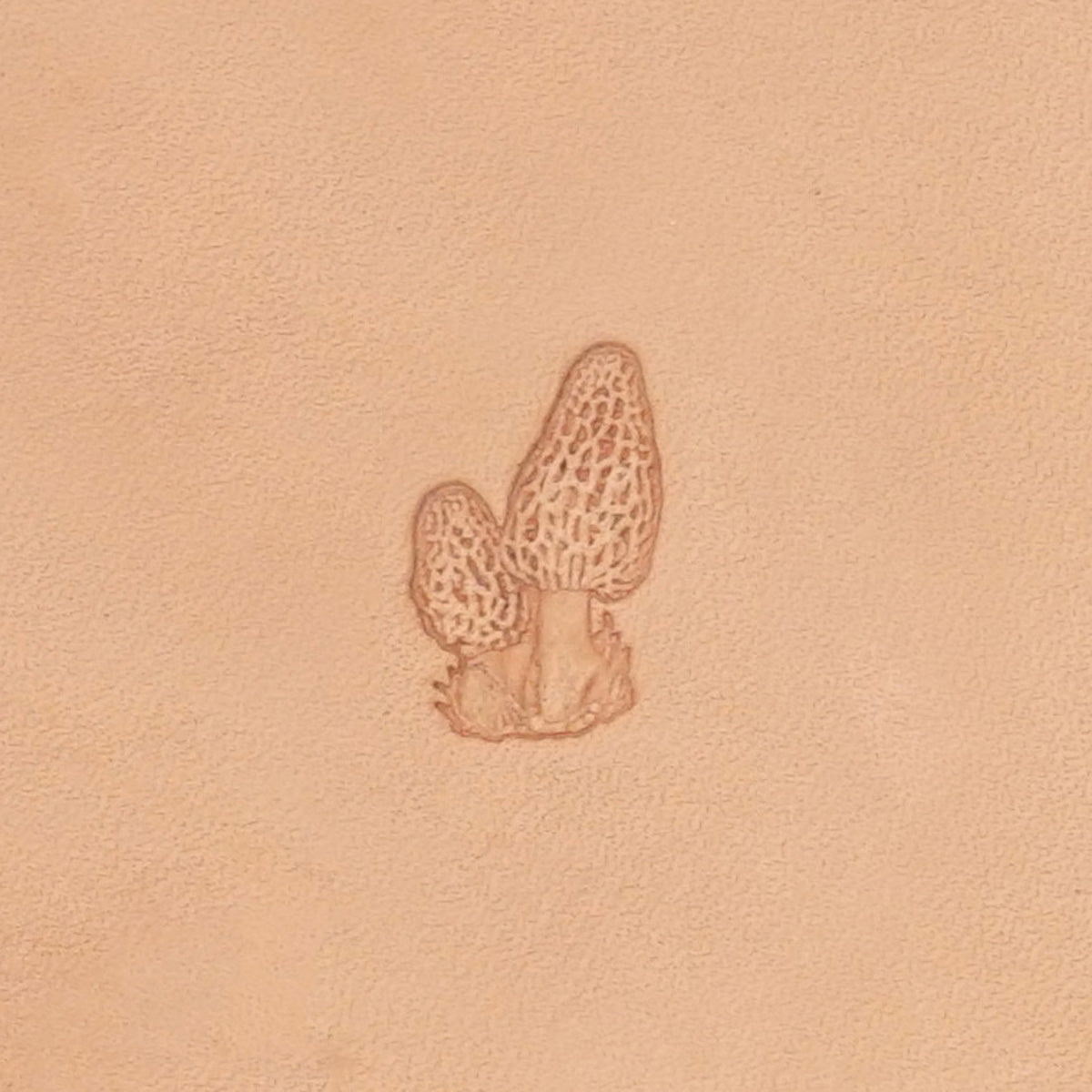 SN Stamping Tool - 597 Morel Mushroom