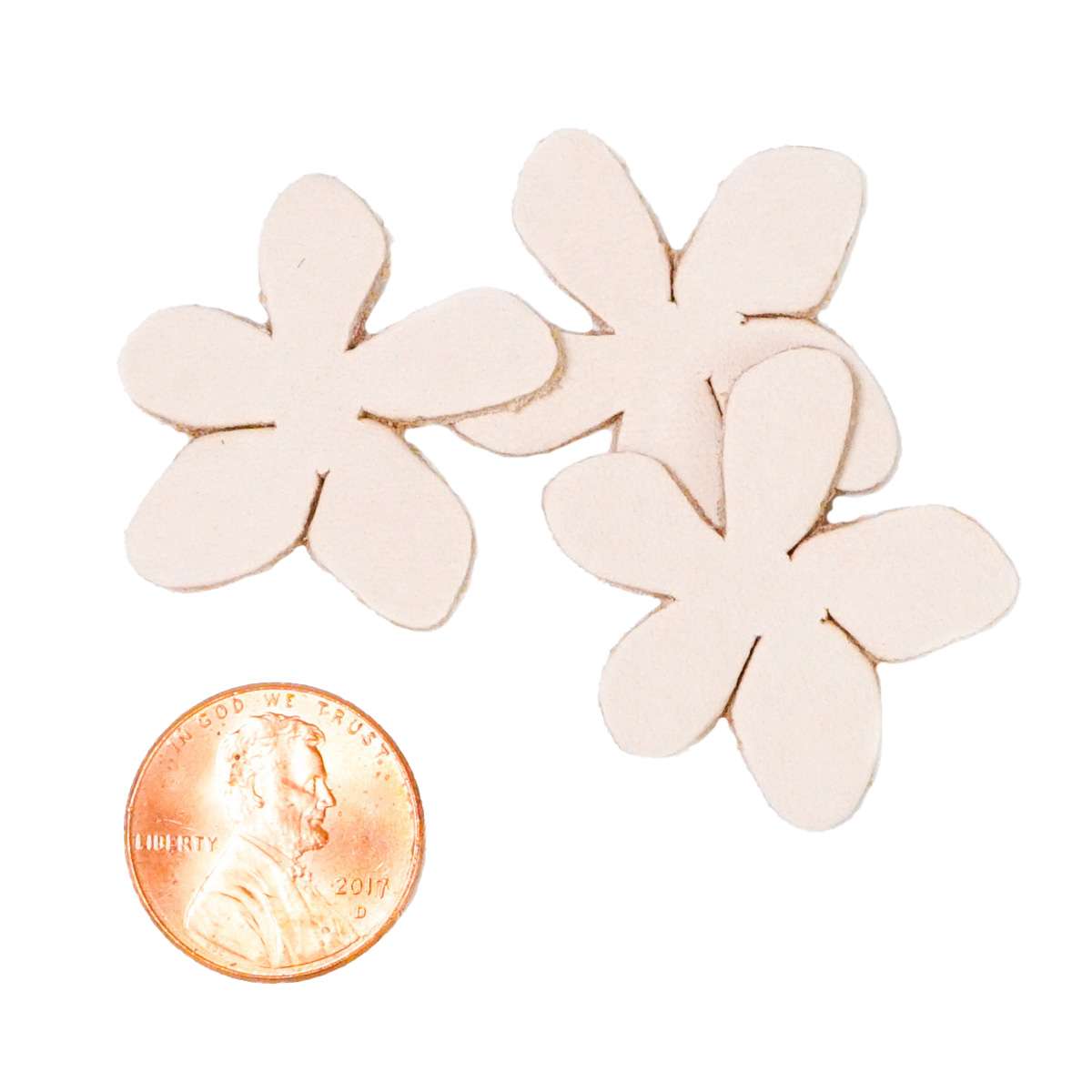 Camp & Craft Shape - Daisy, Mini