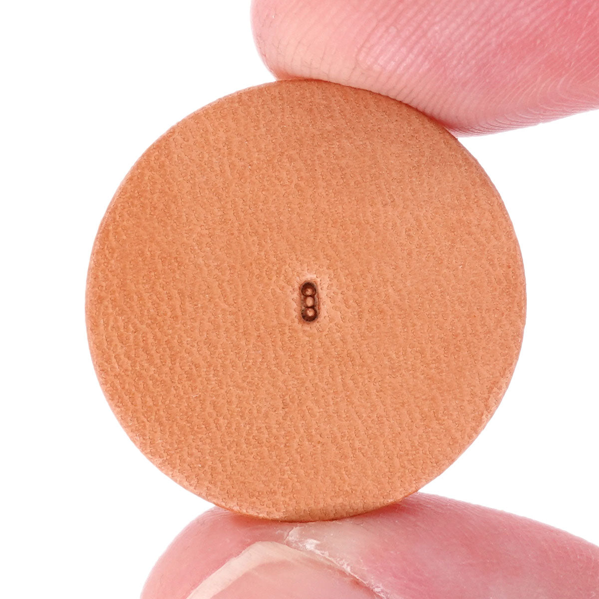 backgounder_1.SLC.jpg StampingToolSheridanSKA101-3 Image