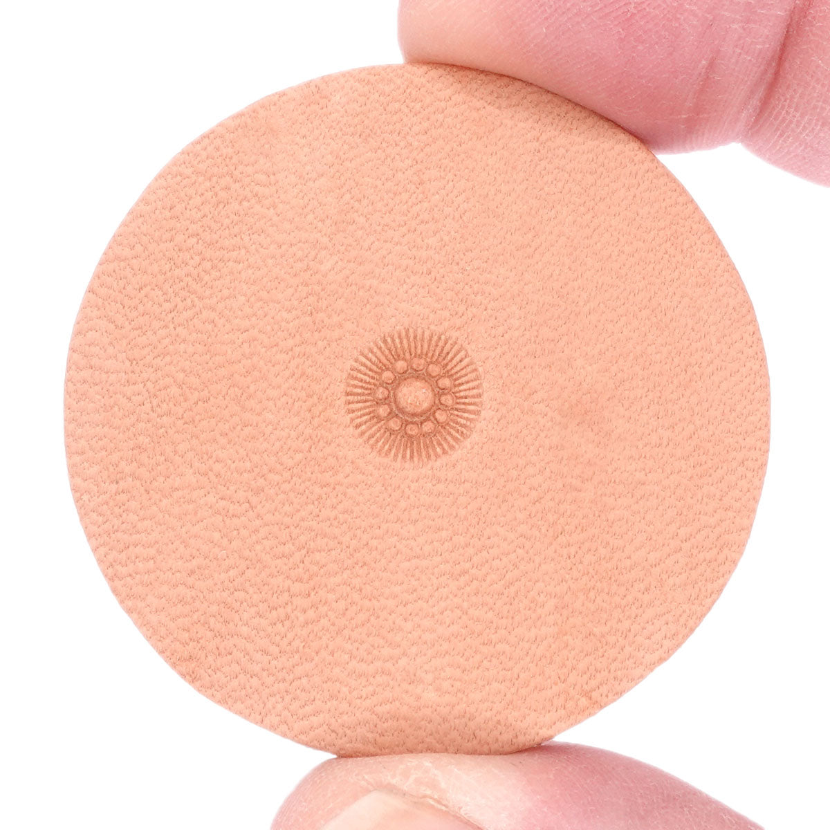 flower-center_2.SLC.jpg StampingToolSheridanSKJ564 Image