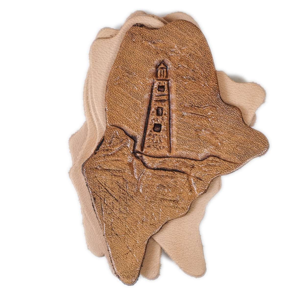 SHPME.SLC.2.jpg State Shape - Maine Image