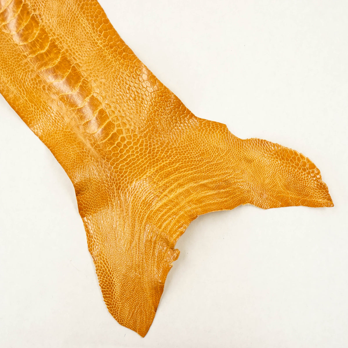 63-840105.SLC.1.jpg Ostrich Leg - Buttercup Image
