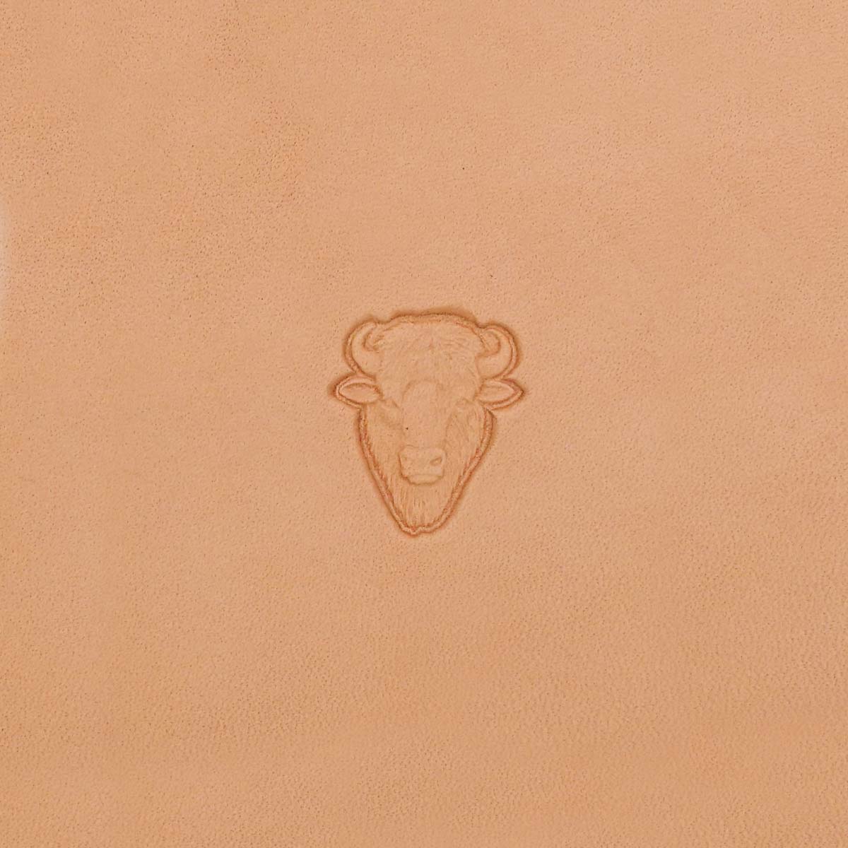 011-8845800.SLC.02.jpg Buffalo Head - 3D Stamp Image