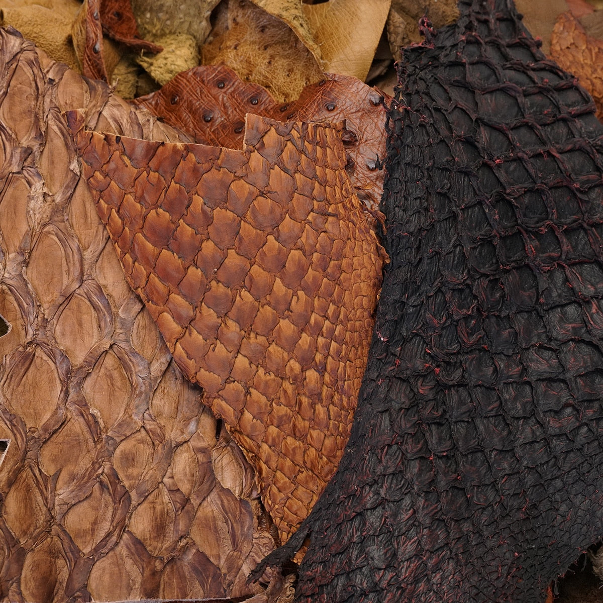 100-2080.SLC.05.jpg Fish Fur & Feathers Pieces Box Image