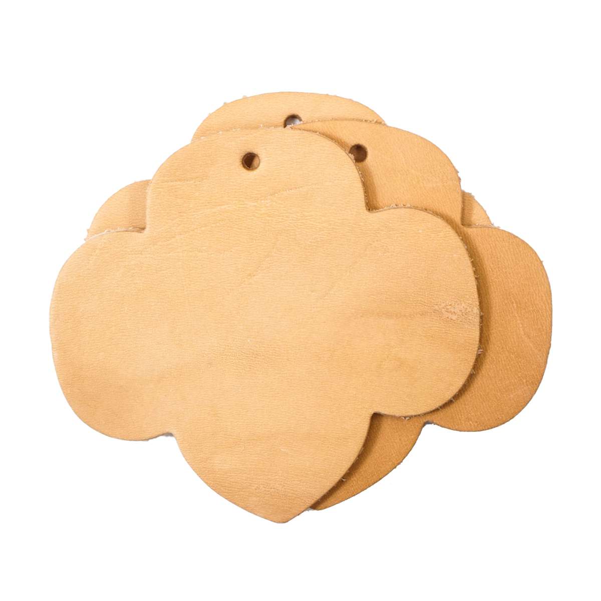 SHP008.SLC.2.jpg Camp & Craft Shape - Scout Quatrefoil Image