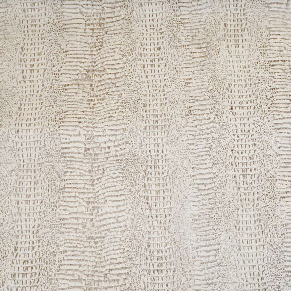 371-17904.SLC.3.jpg Embossed Gator on Cow - Antique Bone Image