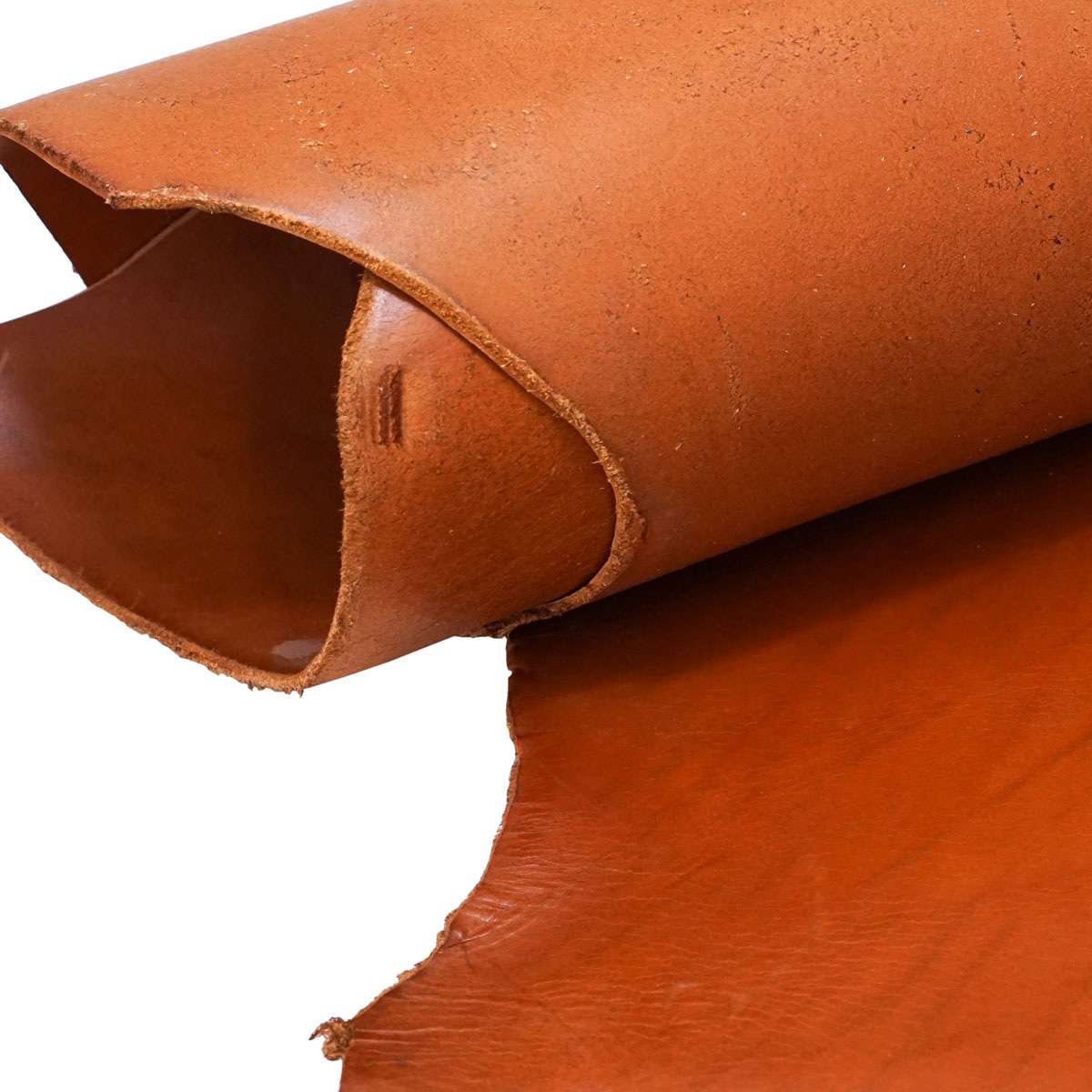 HOBJL.Chestnut.Sq Ft.4.jpg Hermann Oak Bridle Job Lot Image