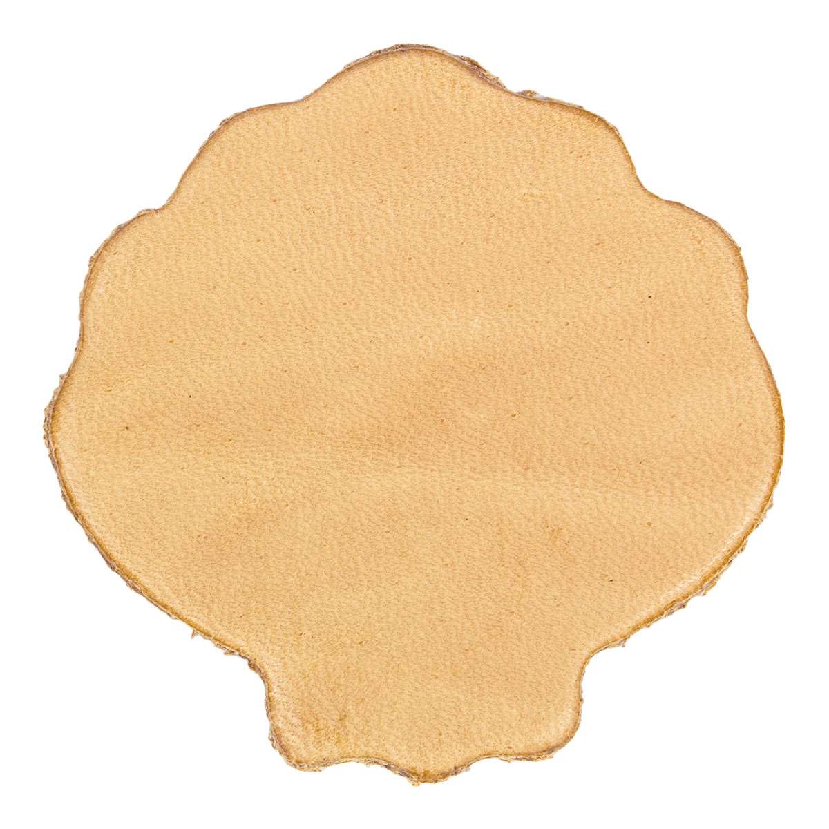 SHP007.SLC.1.jpg Camp & Craft Shape - Shell Image