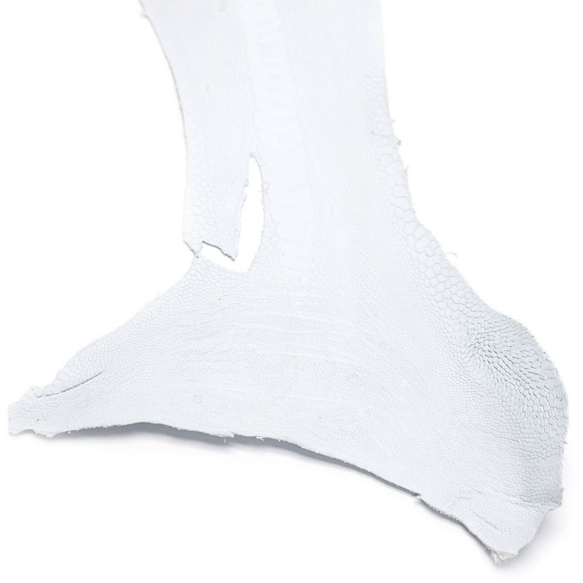 63-84011.SLC.02.jpg Ostrich Leg - Crust Image