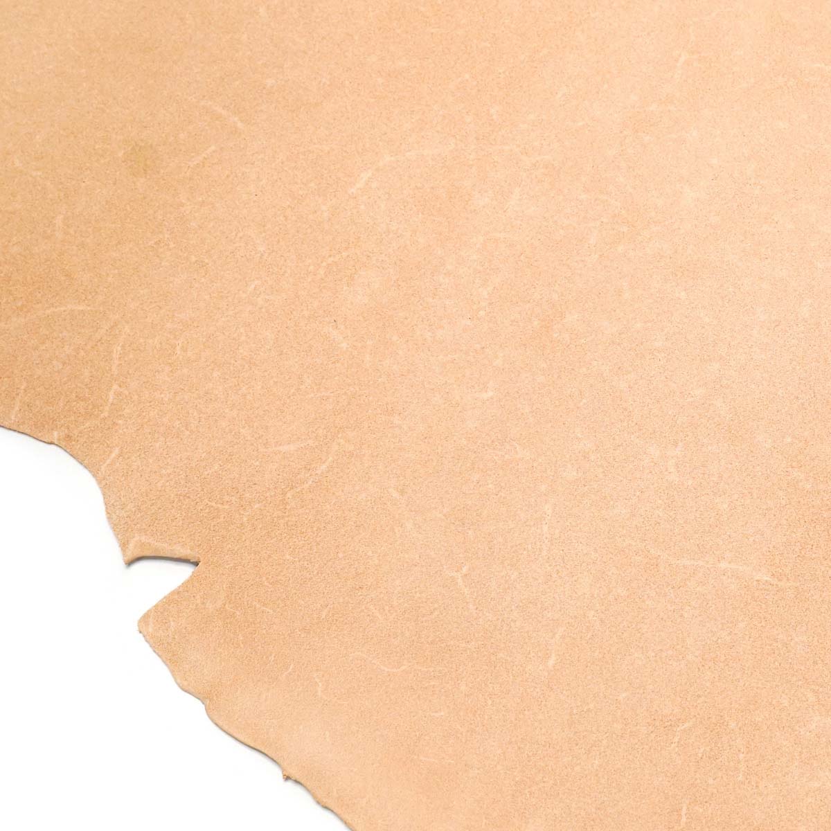 797-2210.SLC.03.jpg 6-7oz Single Shoulders Image