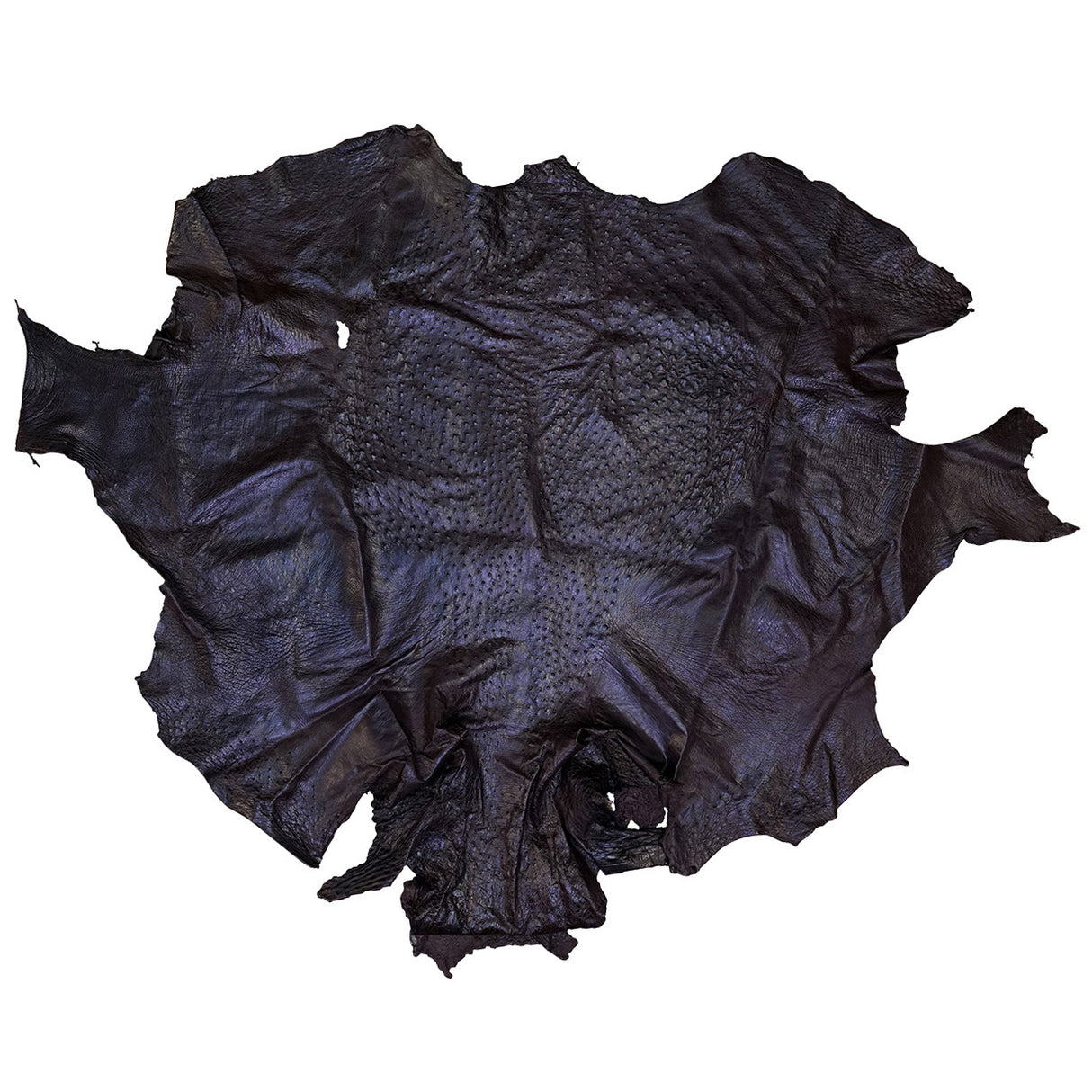 OSTH.Nicotine.01.jpg Ostrich Hides Image