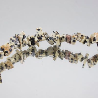272-25.SLC.jpg Dalmation Jasper Stone Chips Image