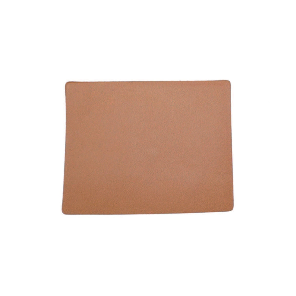 SHPWY.SLC.1.jpg State Shape - Wyoming Image