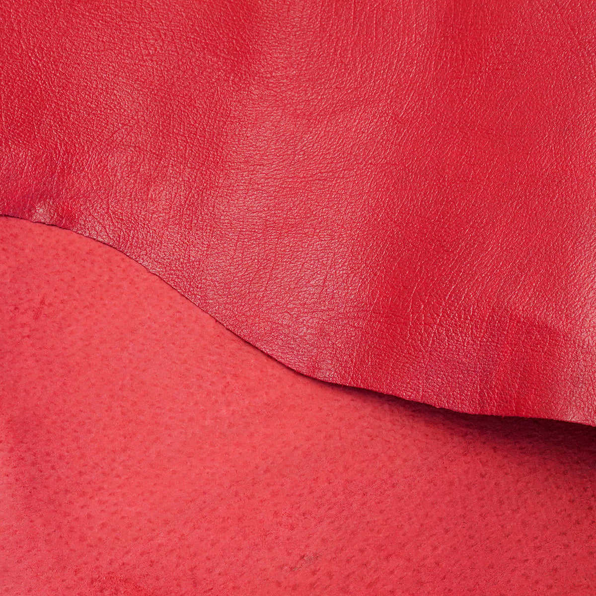 MPIG.Red.Regular.03.jpg Mission Grain Pig Image