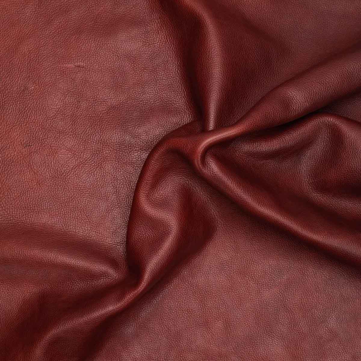 579-001.SLC.03.jpg Nutmeg Bulldog Side Image