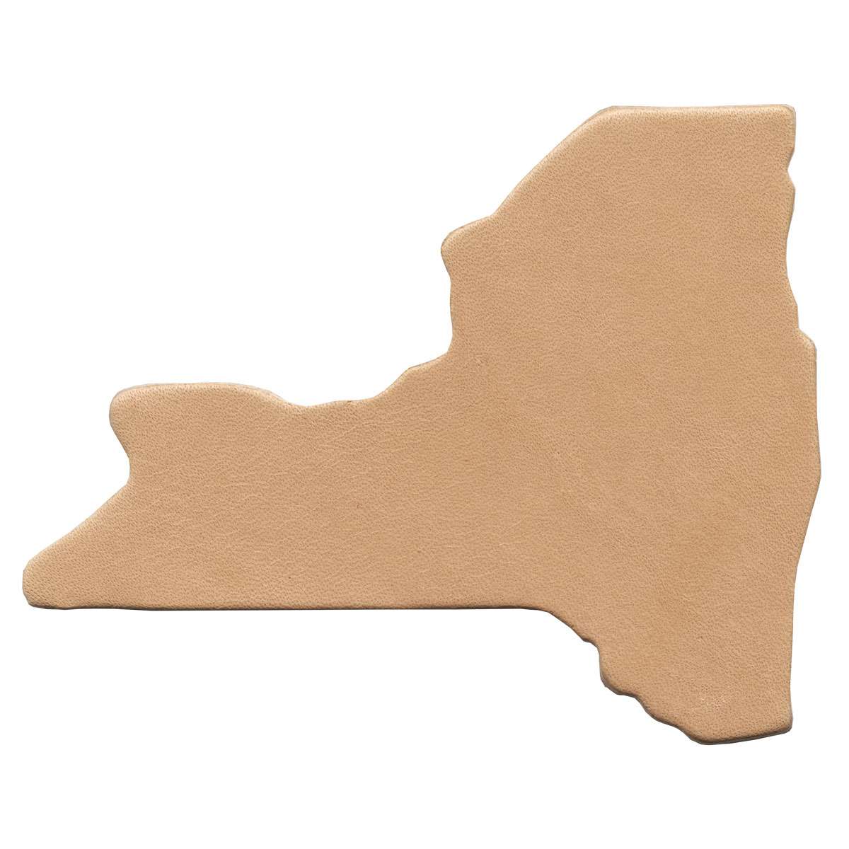 SHPNY.SLC.1.jpg State Shape - New York Image