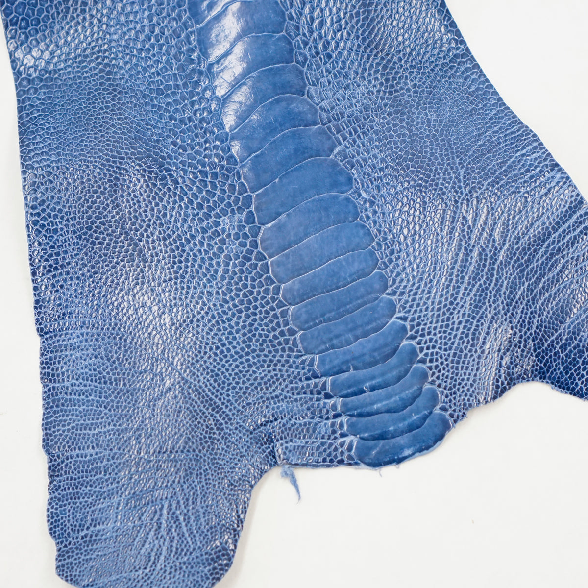 63-30509.SLC.1.jpg Ostrich Leg - Clemaris Image