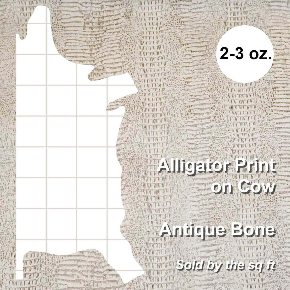 371-17904.SLC.4.jpg Embossed Gator on Cow - Antique Bone Image