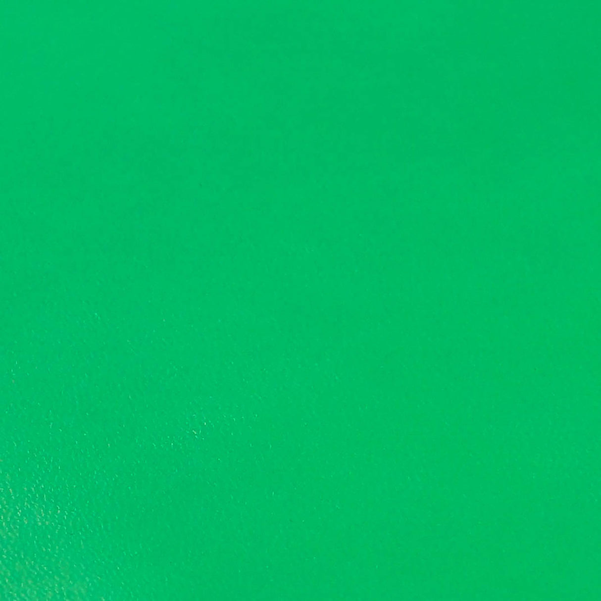 KDSKF.Kelly Green.03.jpg Shrut & Asch Kidskins Image