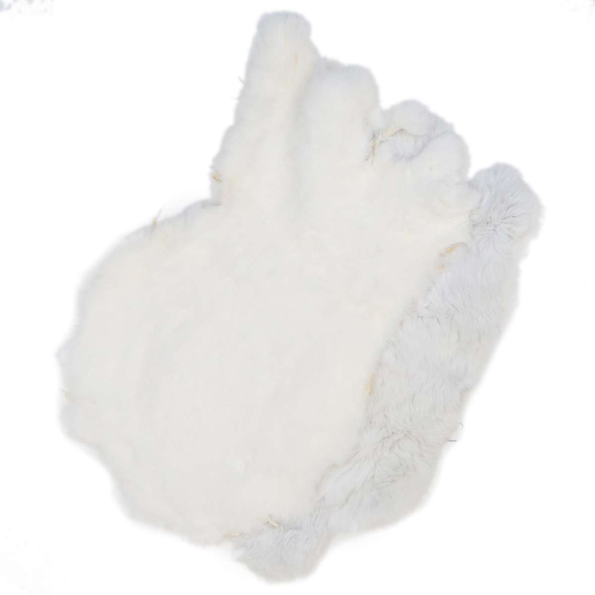 22-260500.SLC.1.jpg White Rabbit Skin Image