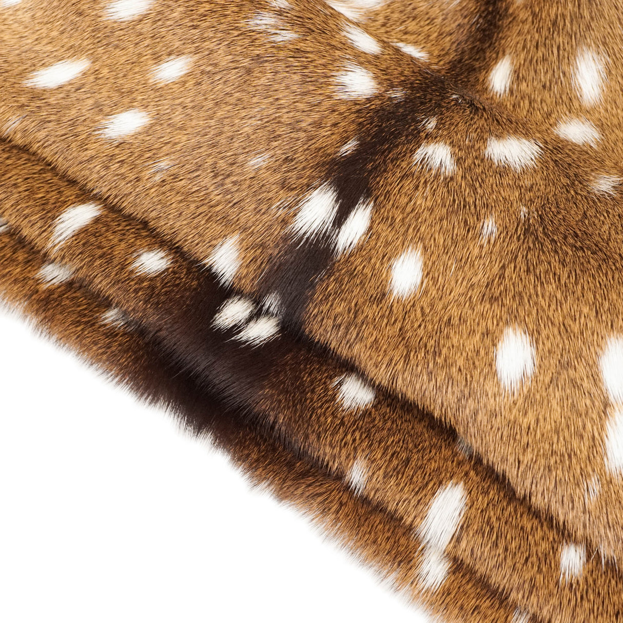 50-001.SLC.2.jpg Axis Deer Hide Image