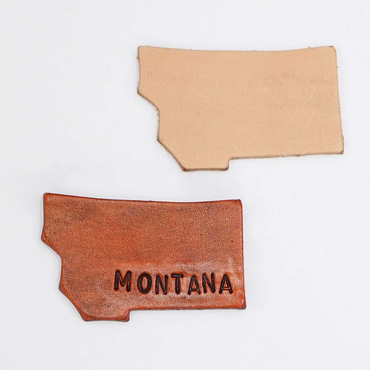 SHPMT.SLC.2.jpg State Shape - Montana Image