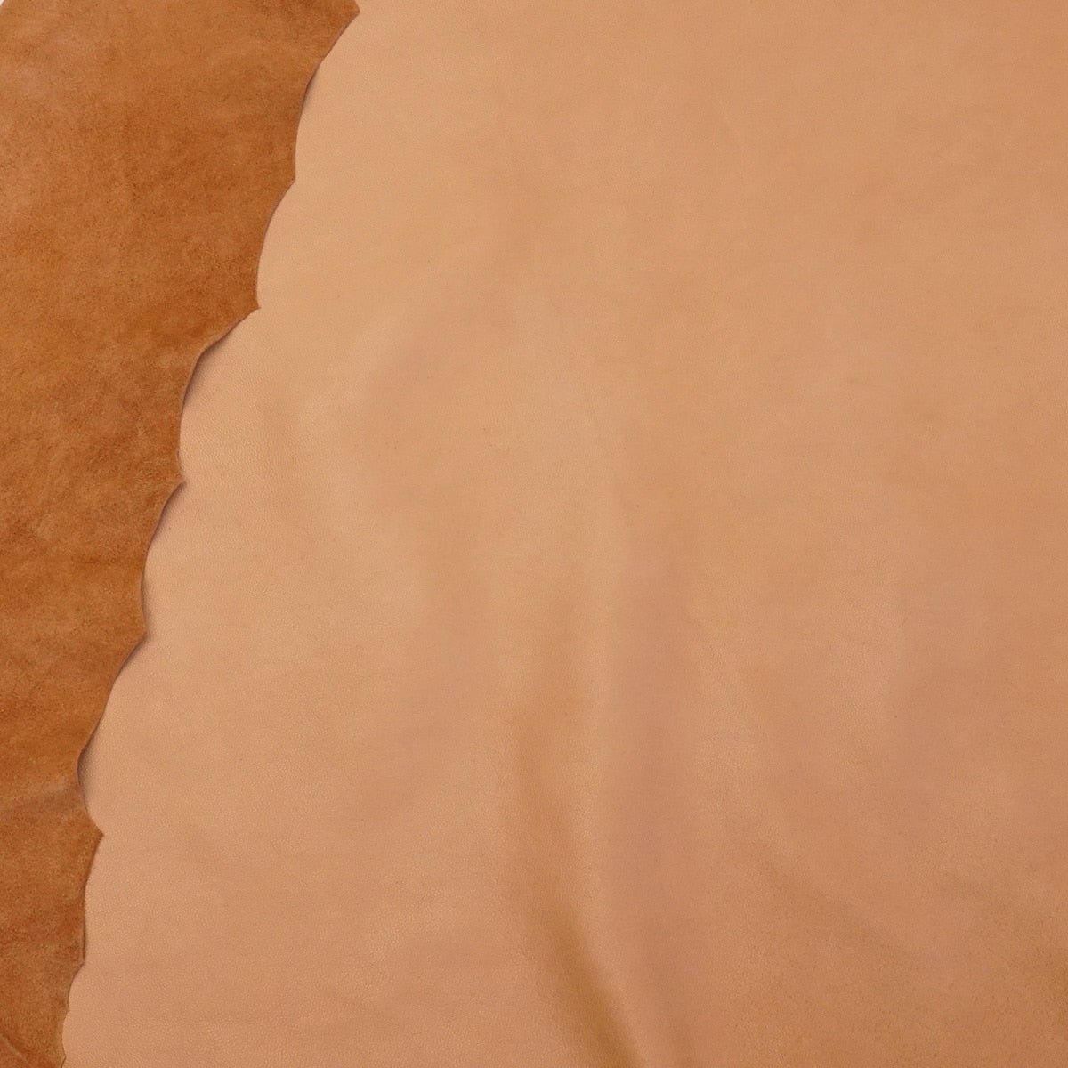 TLL.Unfinished Camel.3.jpg Tenderlux Lamb Image