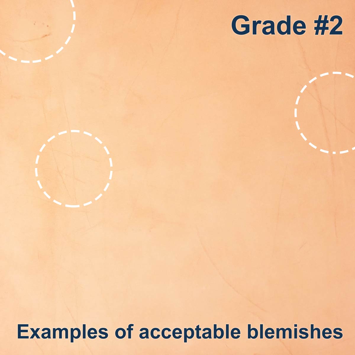 100-C.SLC.4.jpg Import Tooling Pre-Cut - 10" x 10" Image